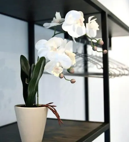ヴィラ Simco 3 En-suite Bedrooms *
